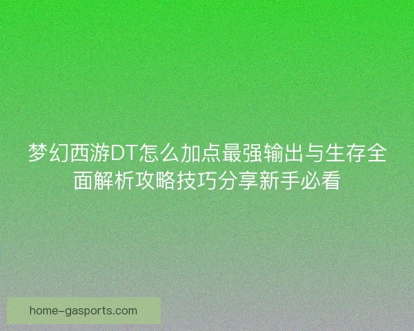 梦幻西游DT怎么加点最强输出与生存全面解析攻略技巧分享新手必看